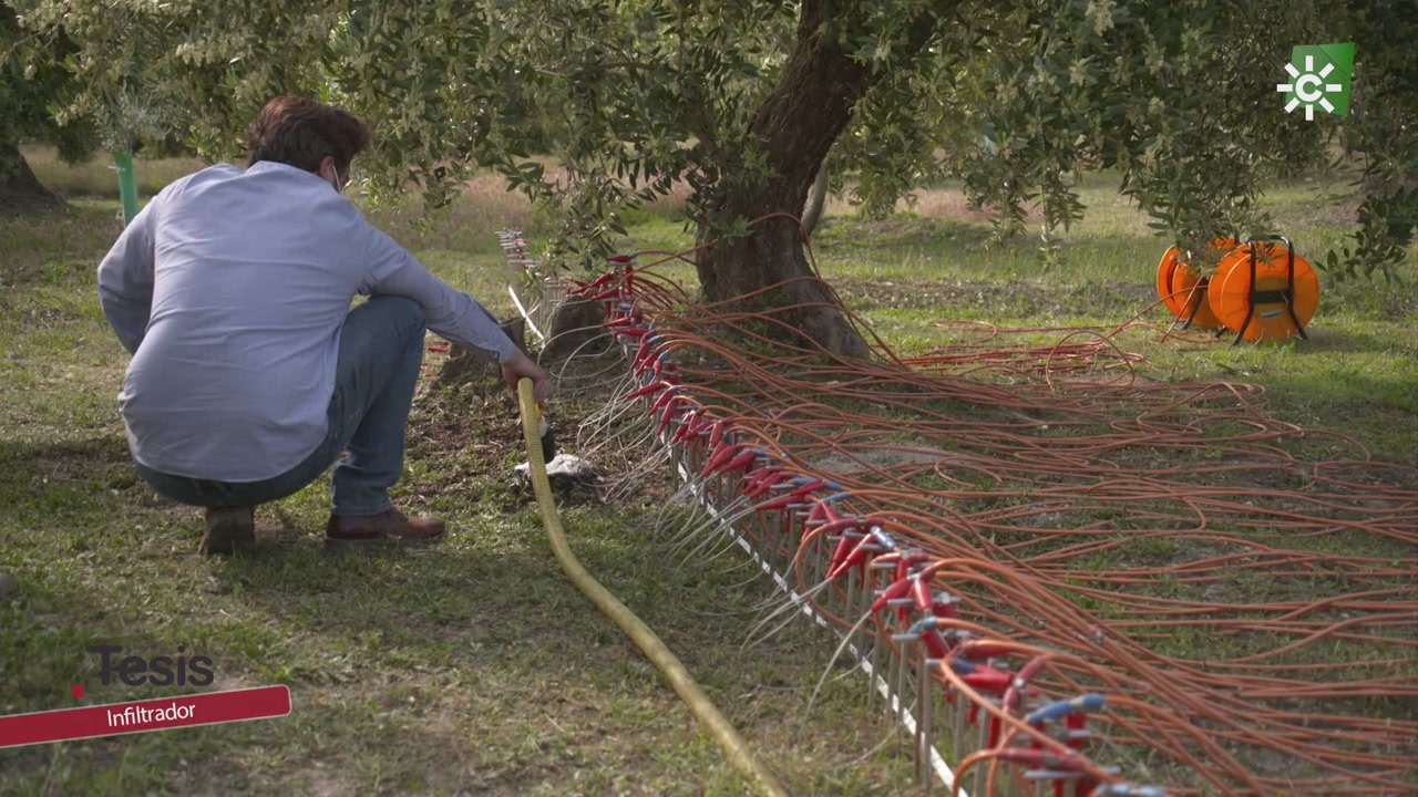 Un infiltrador que soluciona el problema de la sequía en los olivares andaluces