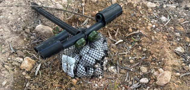 Hidroinfiltrador: un dispositivo innovador que viene a revolucionar el uso de agua en el olivar